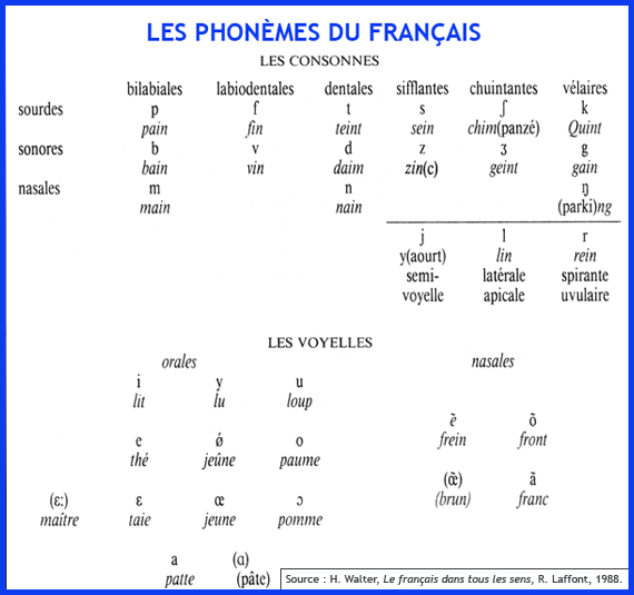 Les phonèmes du français